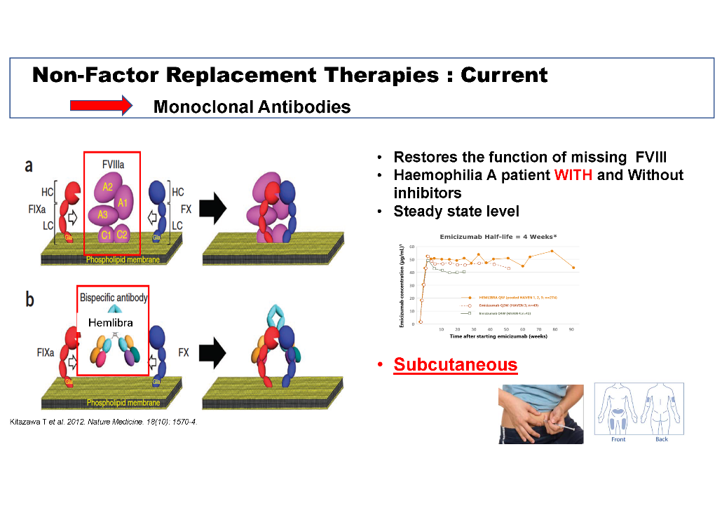 Non-factor replacement therapies - monoclonal antibodies