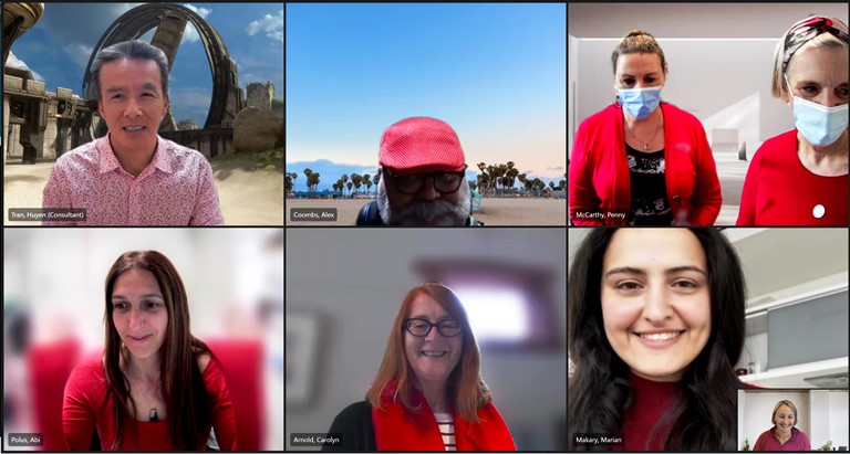 health professionals wearing red in an online meeting