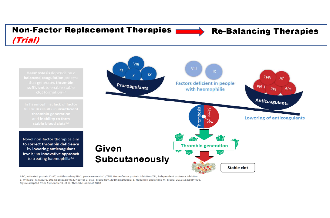 Non-factor replacement therapies - rebalancing therapies
