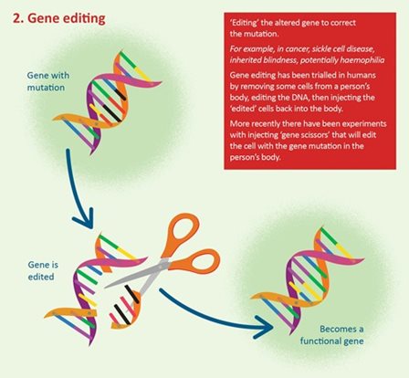 Gene editing
