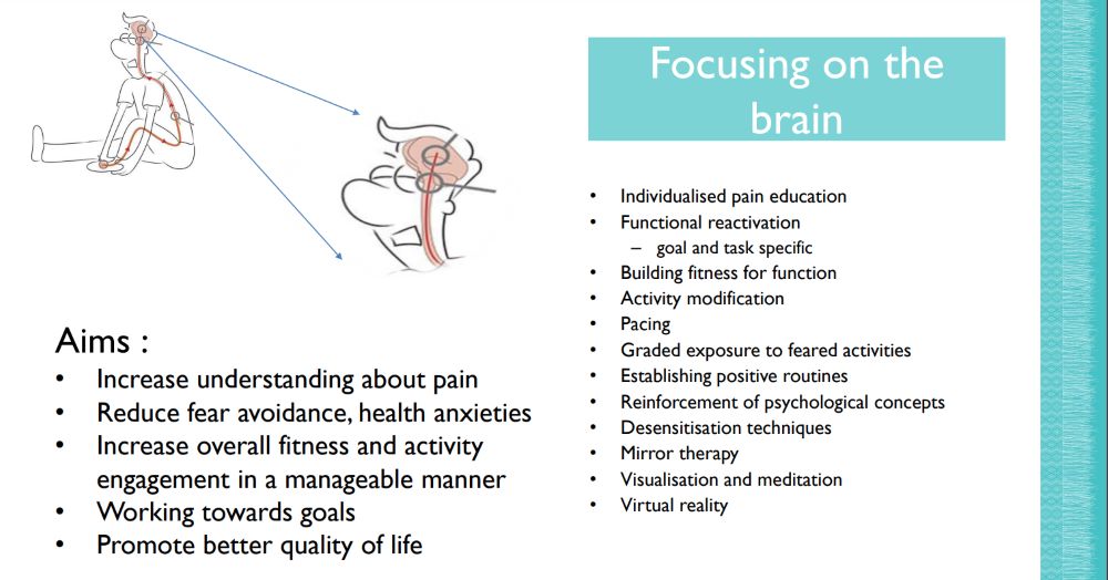 Pain - focusing on the brain